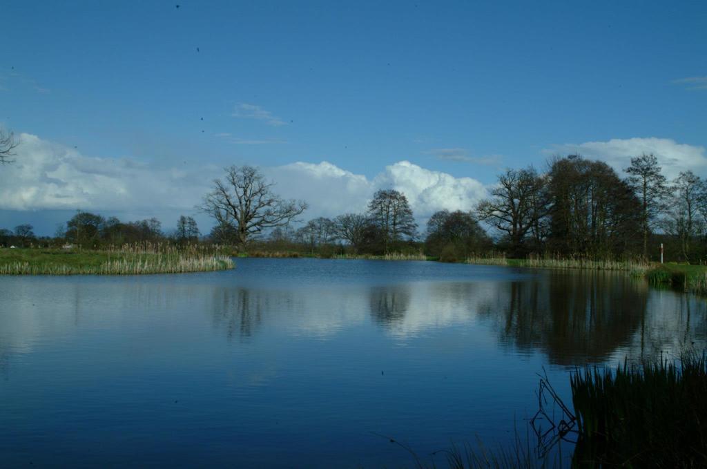 Netley Hall Dorrington المظهر الخارجي الصورة